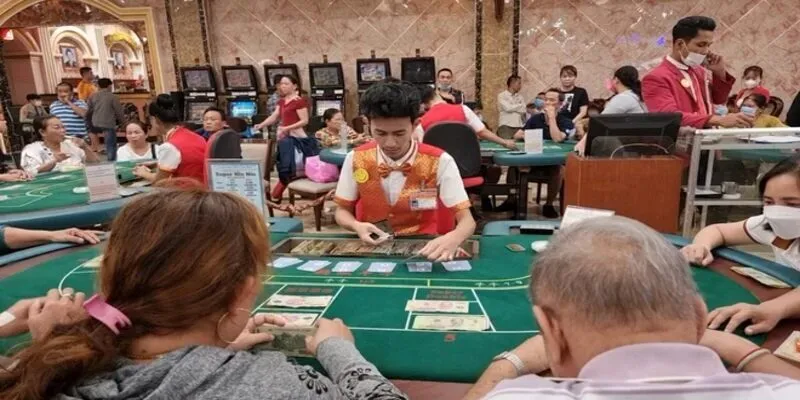 Mocbai đã có hàng loạt thay đổi đáng chú ý ngay đầu năm 2025 